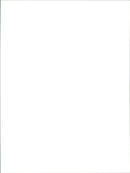 Fiat Punto - Vintage Photograph