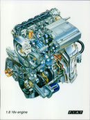 Fiat Punto - Vintage Photograph