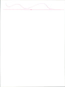 Fiat - Vintage Photograph