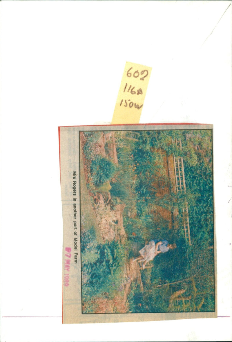 Mrs. Rogers stands in a field of Model Farm