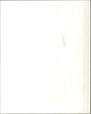 The 1973 Firenza models - Vintage Photograph