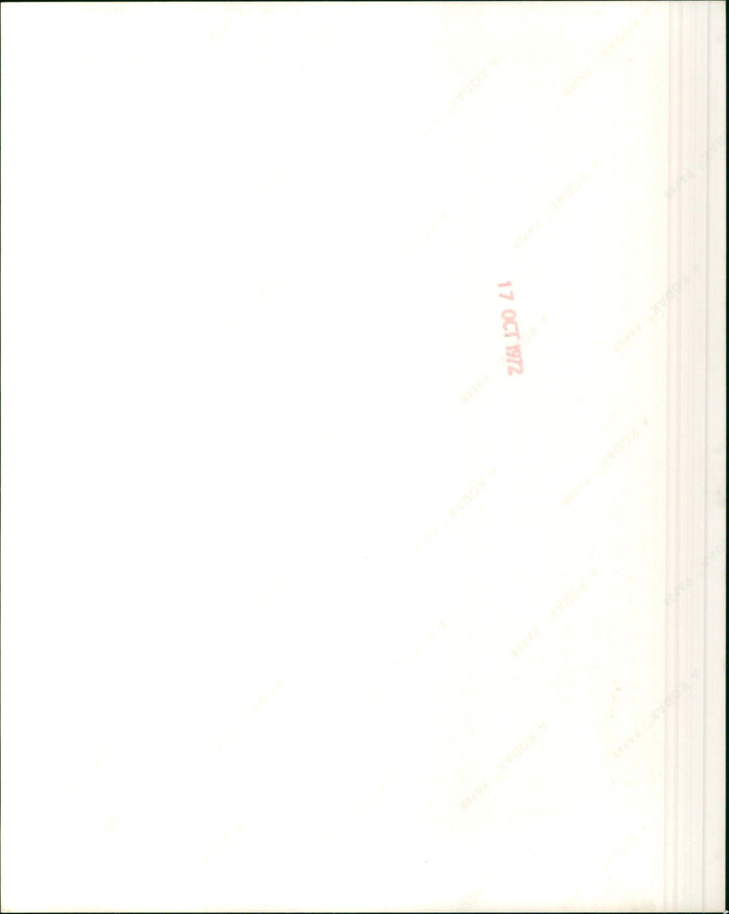 The 1973 Firenza models - Vintage Photograph