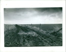 Wintry skies over the Downs near West Hendred. - Vintage Photograph