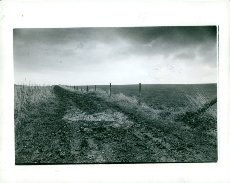 Wintry skies over the Downs near West Hendred. - Vintage Photograph