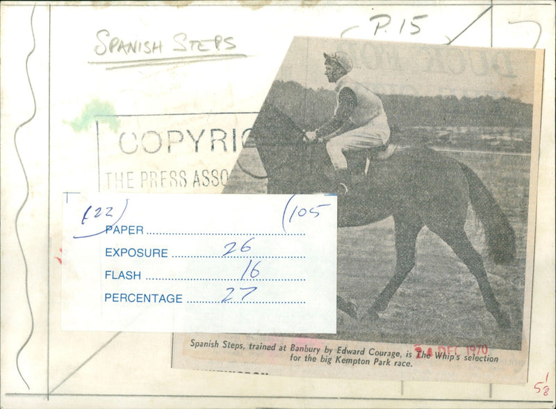 Spanish Steps, trained by Edward Courage, is selected for the Kempton Park race. - Vintage Photograph