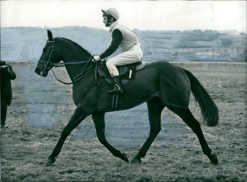 Spanish Steps, trained by Edward Courage, is selected for the Kempton Park race. - Vintage Photograph