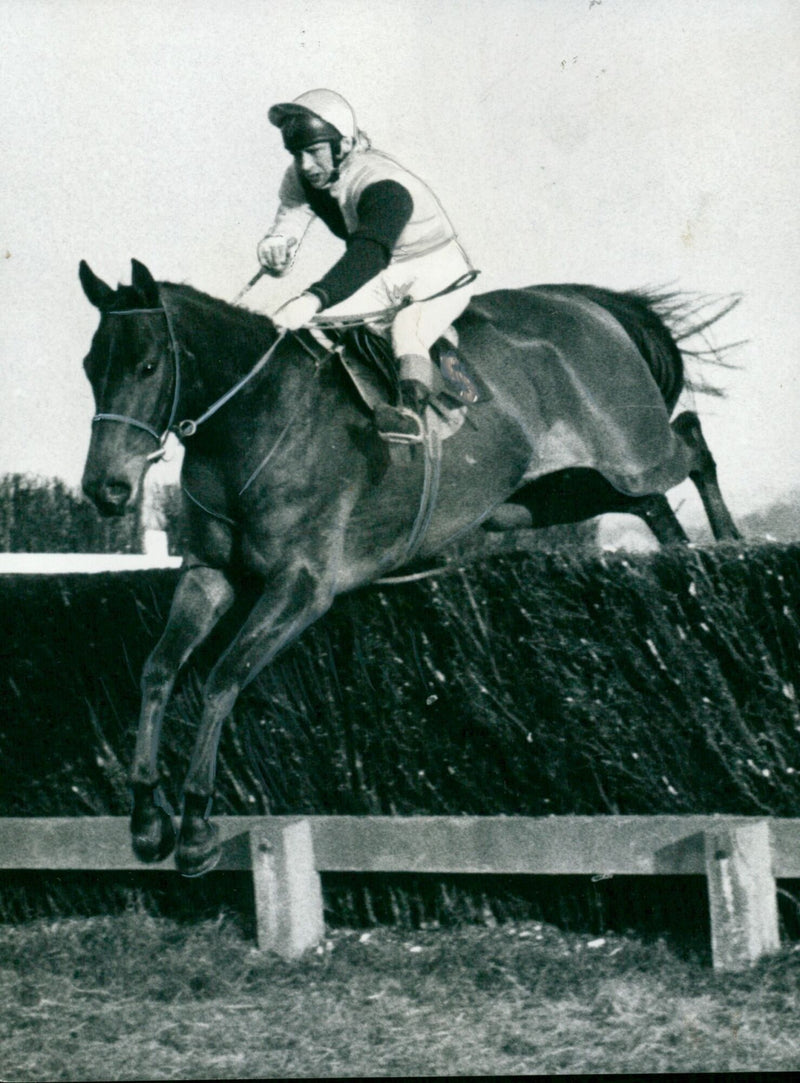 Trainec at Banbury competes in steeplechasing. - Vintage Photograph