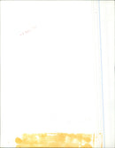 U.S. Marines hoisting the American flag during the Battle of Huế in the Vietnam War. - Vintage Photograph