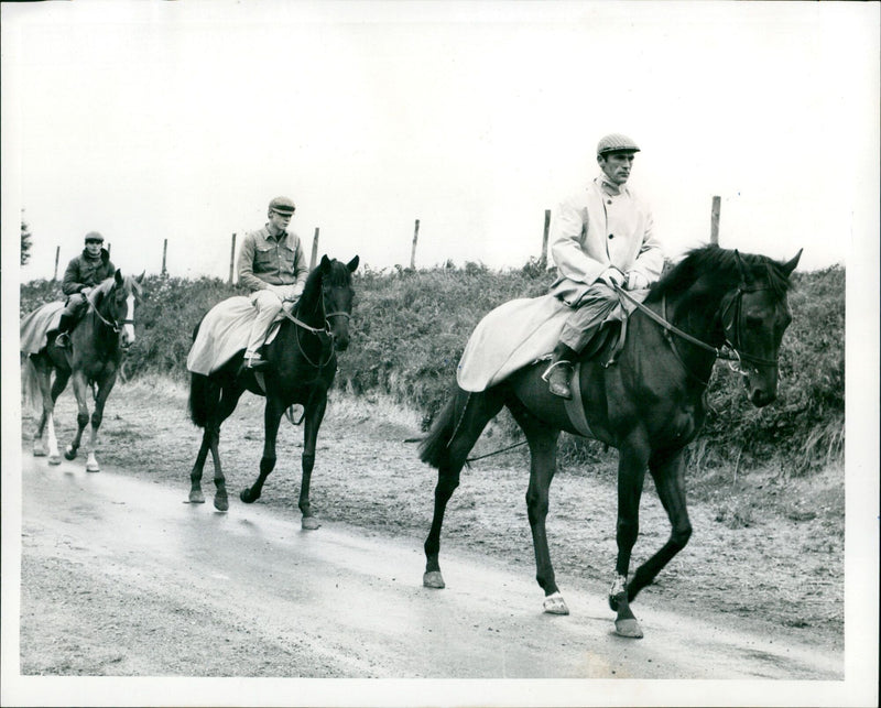 Hope Derby leads the other horses at Chum Downs for exercise. - Vintage Photograph