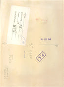 A large crowd of fans waits in Hyde Park ahead of a Rolling Stones concert. - Vintage Photograph