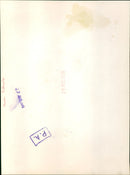 Pop fans enjoy the opening of the Isle of Wight music festival. - Vintage Photograph