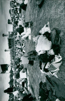 Fans at the Reading Festival enjoying the music and atmosphere. - Vintage Photograph