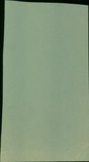 Music fans enjoy a concert at the annual General Music Festival. - Vintage Photograph