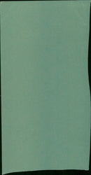 Music festival attendees dancing and enjoying the show. - Vintage Photograph