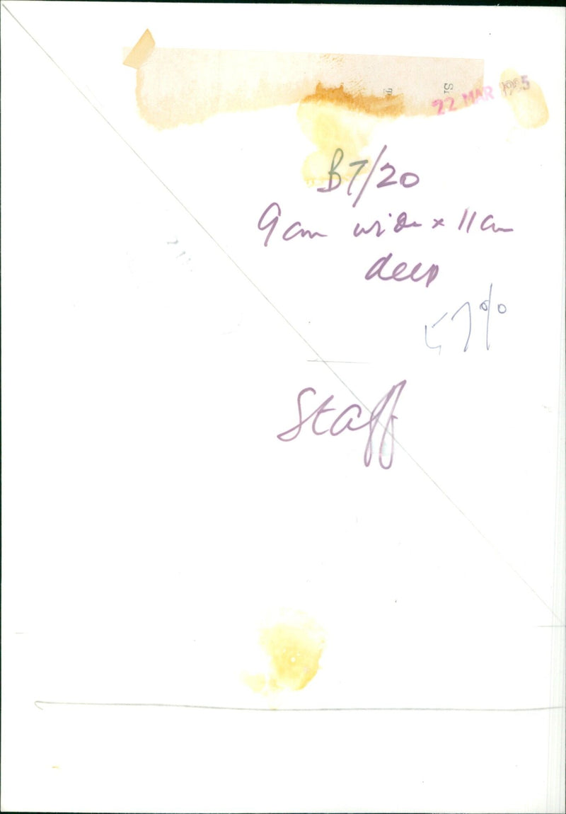 A young girl examines a caterpillar in a park. - Vintage Photograph