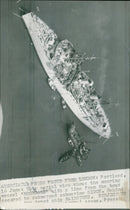 HMS Sidon - Vintage Photograph