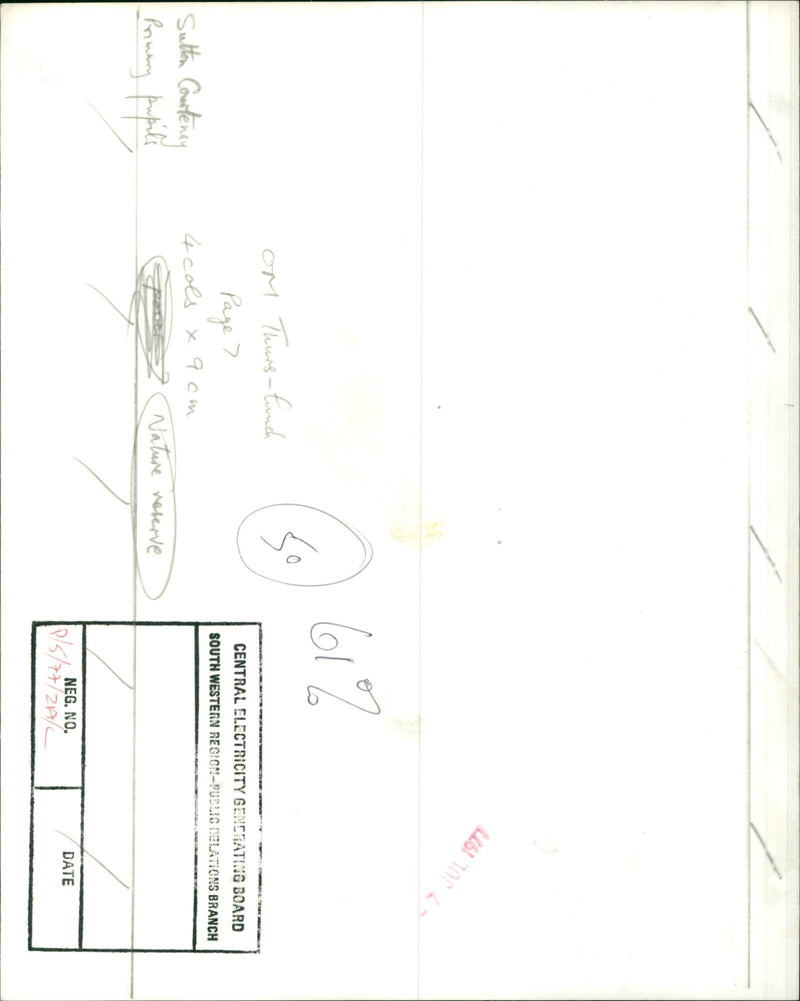 Sutton Courteney Primary pupils enjoy their lunch in a nature reserve. - Vintage Photograph