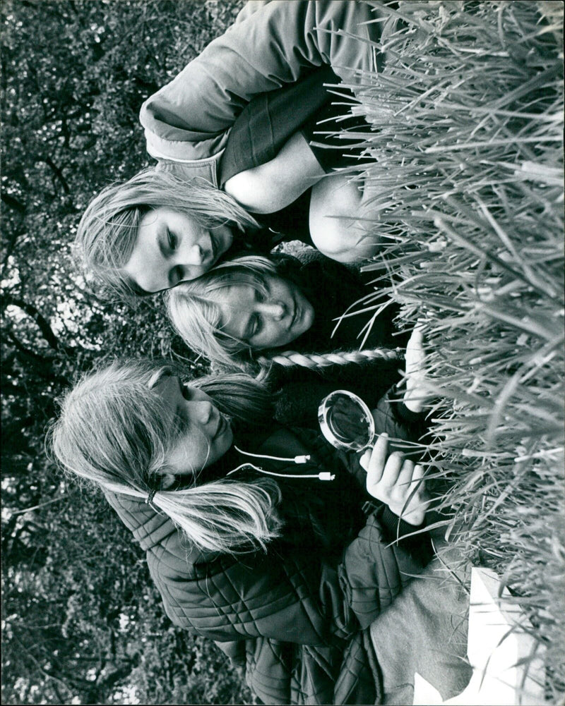 Sutton Courteney Primary pupils enjoy their lunch in a nature reserve. - Vintage Photograph