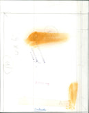 A mother bear and her cubs in their natural habitat. - Vintage Photograph