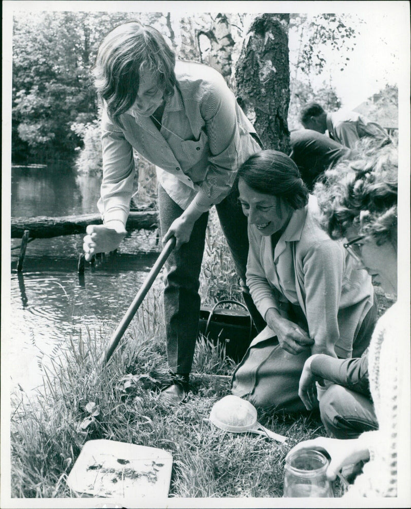 Mrs Ursula Bowen, a biology lecturer from Spencer Churchill College, demonstrates pond specimen collection at the opening of a new nature reserve in Headington on Saturday. - Vintage Photograph