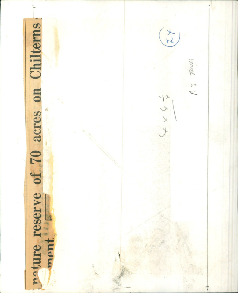 Volunteers at the 4x414 nature reserve on Chilterns Hill. - Vintage Photograph