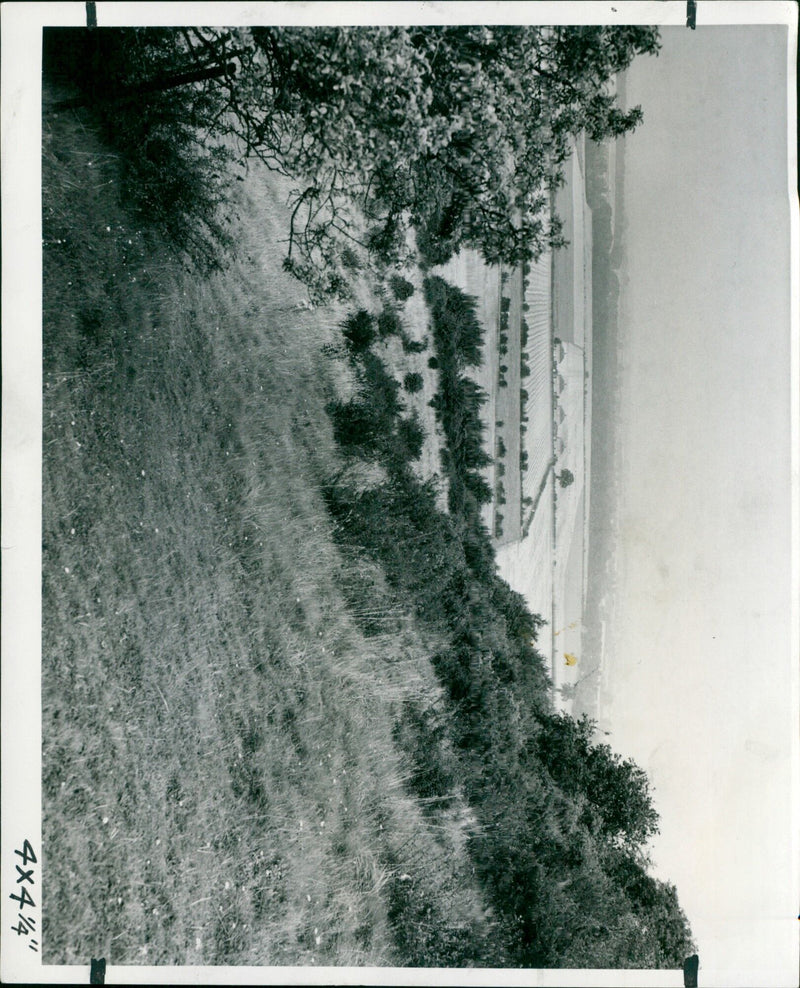 Volunteers at the 4x414 nature reserve on Chilterns Hill. - Vintage Photograph