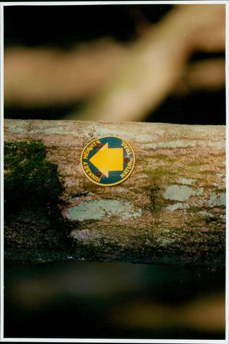 Project officer Alison Muldal, John Brimble, and Dr Camilla Lambrick take a walk through Hinksey Heights Golf Club Nature Reserve. - Vintage Photograph