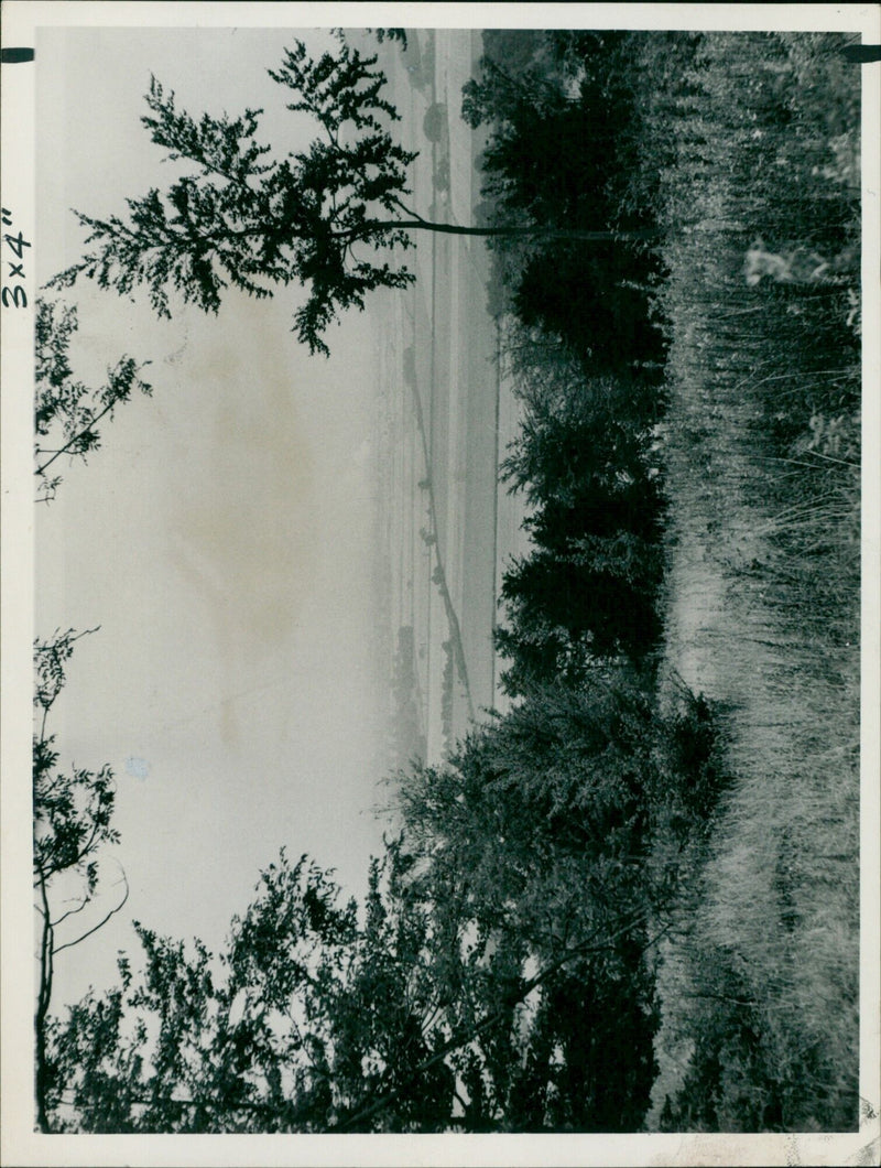 Staff photo taken at the new nature reserve at Aston Rowant. - Vintage Photograph