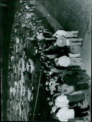 Crowd gathers at Waterstock music festival. - Vintage Photograph