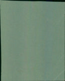 Fans jump up and down at a punk rock concert. - Vintage Photograph