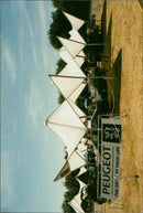 A woman drives a Peugeot in a virtual reality race game. - Vintage Photograph