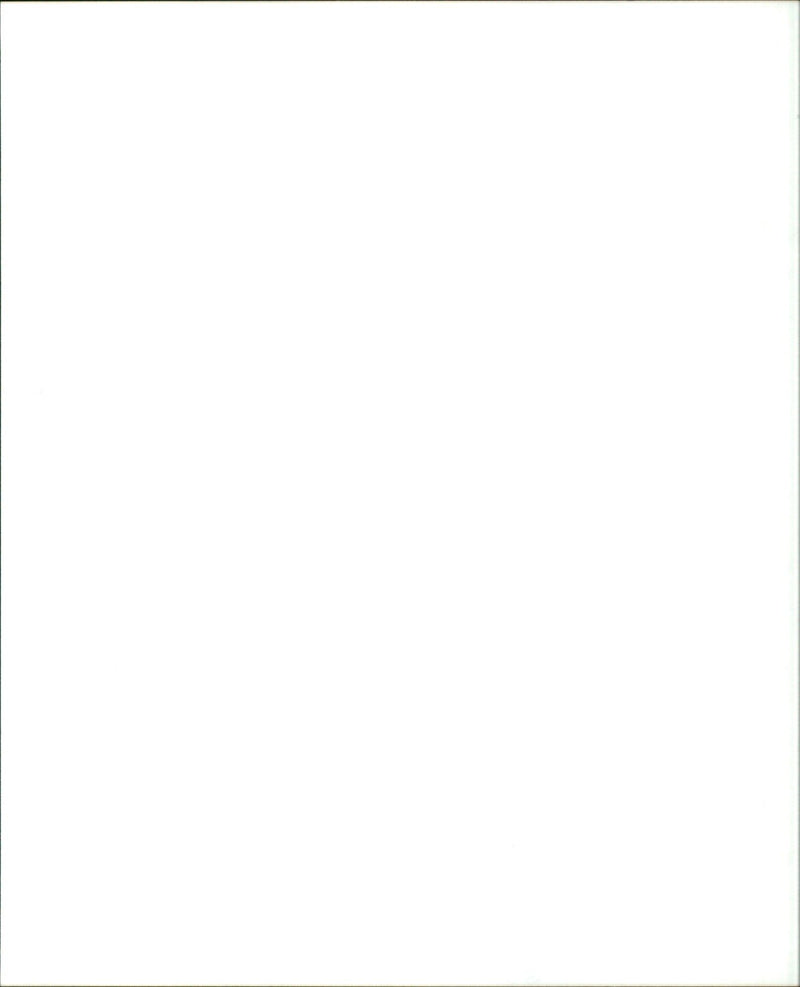 A cougar resting on a rock in a mountain range. - Vintage Photograph