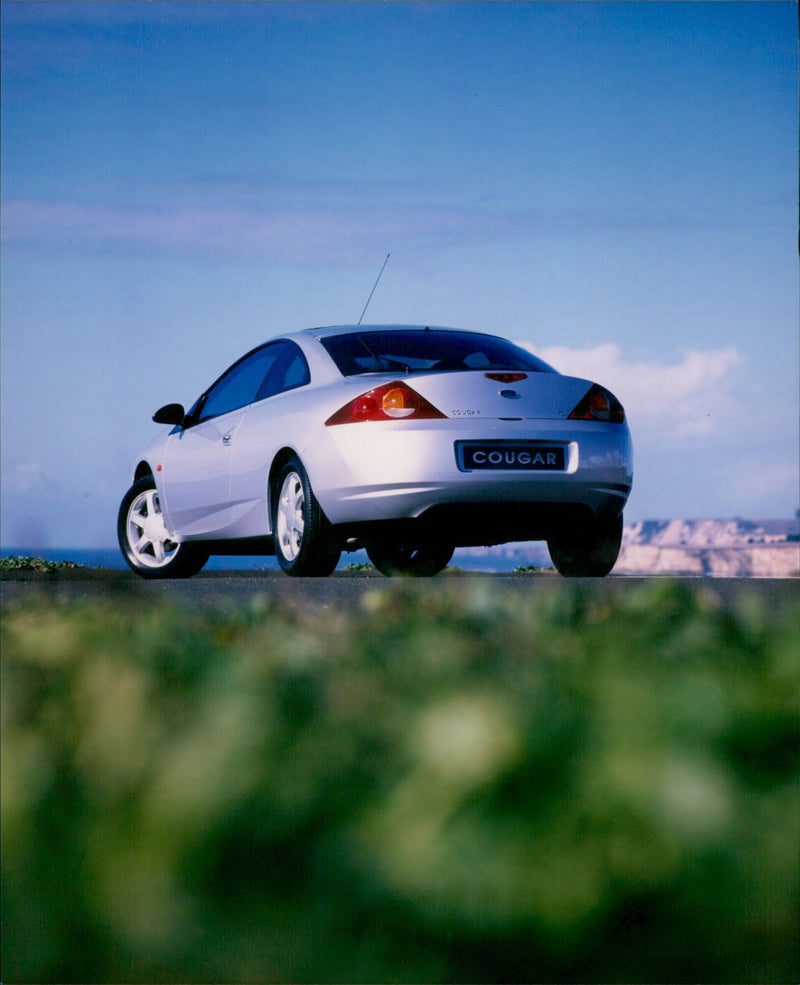 A cougar resting on a rock in a mountain range. - Vintage Photograph