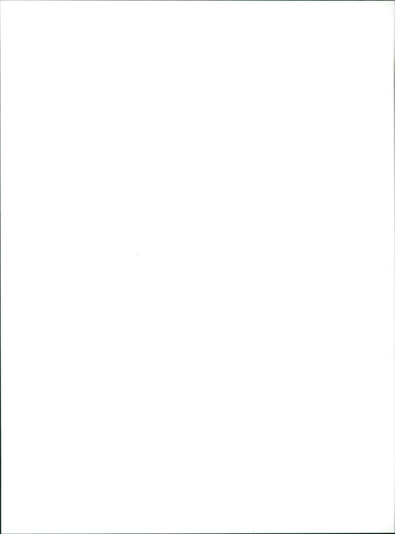 A cougar peers out from a rocky outcrop in a remote area of Alberta, Canada. - Vintage Photograph