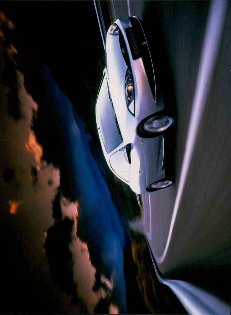 A cougar peers out from a rocky outcrop in a remote area of Alberta, Canada. - Vintage Photograph