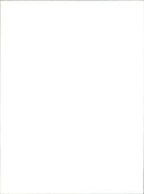 A red Fiat car drives down a city street. - Vintage Photograph