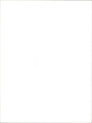 A new Fiat Punto car is presented at the Fiat dealership in Rome, Italy. - Vintage Photograph