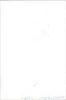 A group of musicians from The English Madriga play their instruments in Medeno Pos, Serbia. - Vintage Photograph