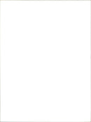 A Stilo FIAT YK53 SUF in action on a racing track. - Vintage Photograph