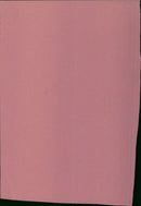 People admire a classic Fiat 2 car during a vintage car show. - Vintage Photograph