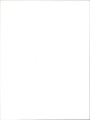 A newly-launched Panda FIAT car is displayed at a car dealership in Madrid, Spain. - Vintage Photograph