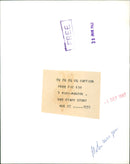 Motoring Car - T-Mini Marcos - Vintage Photograph