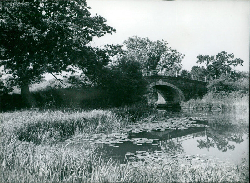 A peaceful view of Bell's Bridge on the Preston-Kendal Canal in Lancashire on July 19th, 1957. - Vintage Photograph