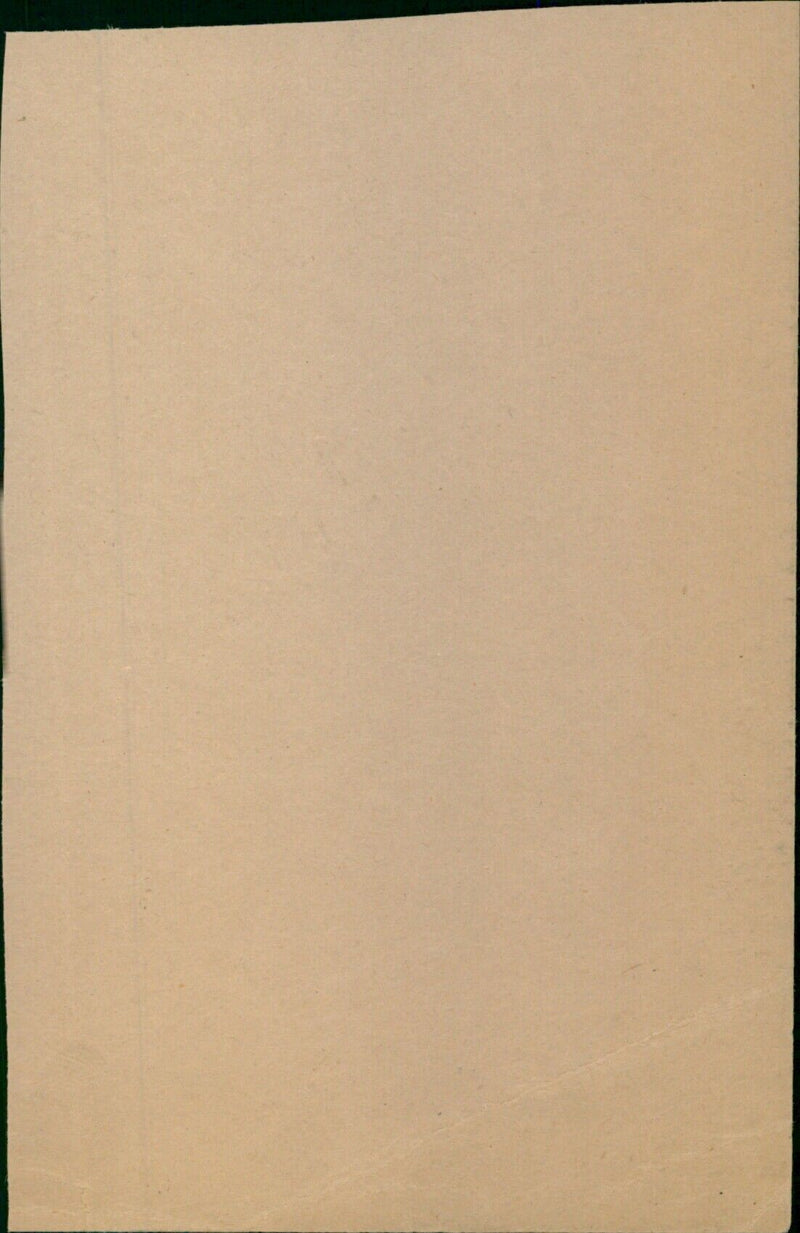 A model aircraft being inspected by a group of people. - Vintage Photograph