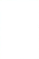 Robbie Head of Renault DEA speaks at a press conference. - Vintage Photograph