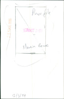 A Renault dealer rallies a Renault Mégane at a Renault Elfo event. - Vintage Photograph