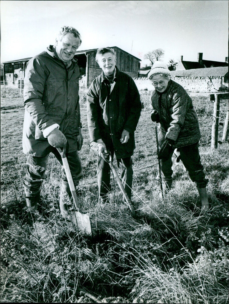 Members of the BBONT Nature Reserve planting blackthorn at Wells Farm, Little Milton. - Vintage Photograph