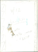 Princess Diana and Prince Charles on their wedding day in St. Paul's Cathedral, London. - Vintage Photograph