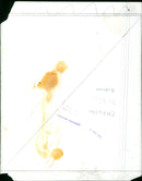 A large 3D dinosaur model is seen outside of a building. - Vintage Photograph