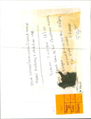 Simon Twitchen (8) inspects a model railway purchased with his Christmas money. - Vintage Photograph